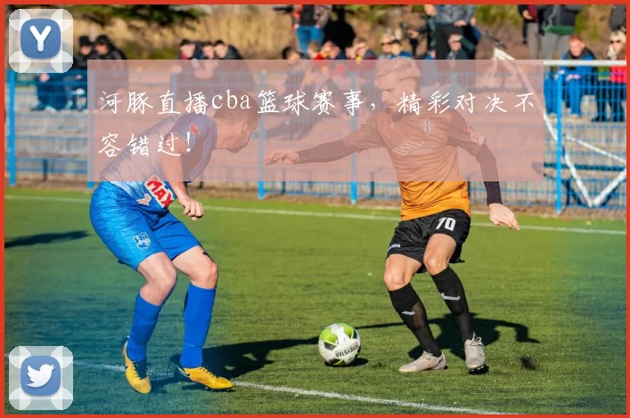 河豚直播cba篮球赛事,精彩对决不容错过!