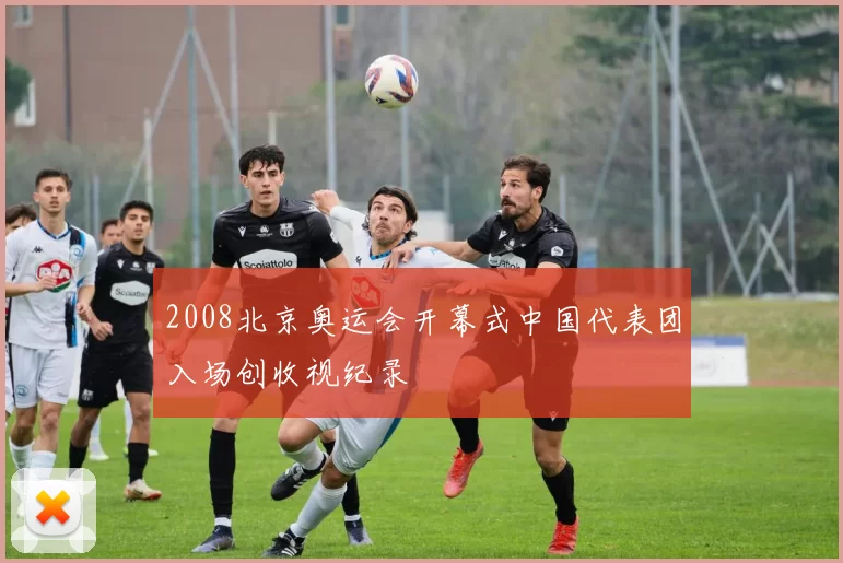 2008北京奥运会开幕式中国代表团入场创收视纪录