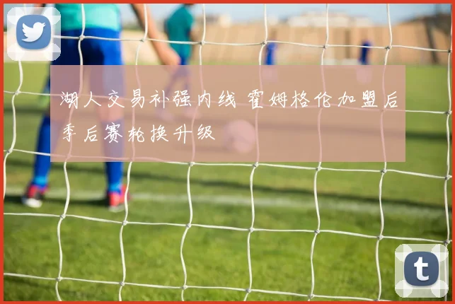 湖人交易补强内线 霍姆格伦加盟后季后赛轮换升级