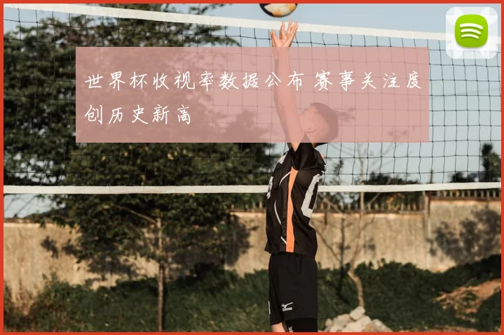 世界杯收视率数据公布 赛事关注度创历史新高