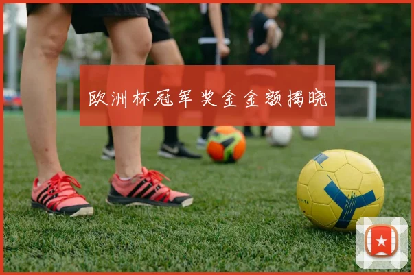 欧洲杯冠军奖金金额揭晓