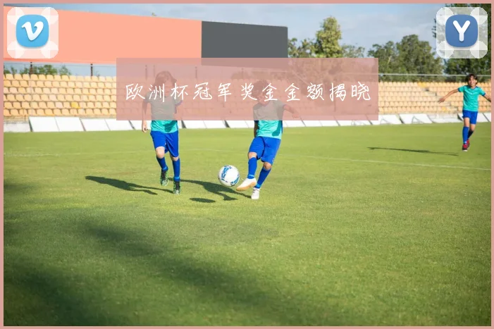 欧洲杯冠军奖金金额揭晓